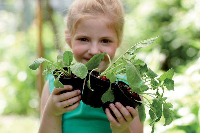 gb anzuchttopf starter set (set of 10) living schwarz